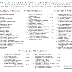 Ландшафтный проект дачного участка - ассортиментная ведомость к дендроплану